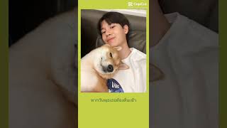 คิดถึงเธอทุกวันเลย #หยิ่นวอร์ #หยิ่นอานันท์ #หยิ่น #หยิ่นวอร์เป็นแฟนกัน #ซูลูป๊าหยิ่น