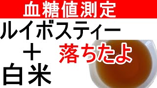 【血糖値】白米とルイボスティーで血糖値測定