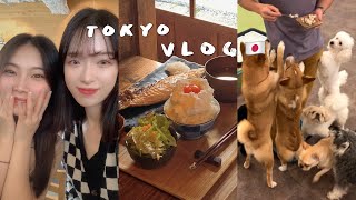 TOKYO VLOG |日本日常 鎌倉絕美日式定食🍳 吉祥寺體驗被狗飛撲🥲