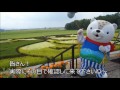 【公式】あさっぴーが行く！旭川市紹介動画　～no.1 田んぼアート～