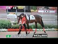 2020.7.12　【jra　函館競馬　ソダシ　メイクデビュー芝１８００　パドック】