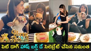 Actress Samantha celebrates her pet dog HASH birthday | Gup Chup Masthi