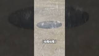 【搞笑动物配音】112，今天的雨怎么这么大啊！我都喝不下了