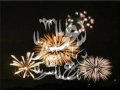 Ahlan beleid Song - Safaa Abou El Sa300d