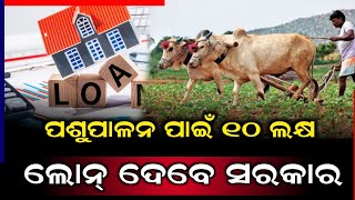 ୨୪-ଘଣ୍ଟା ଭିତରେ ଚାଷୀଙ୍କୁ ମିଳିବ 10 ଲକ୍ଷ ଟଙ୍କା ପର୍ଯ୍ୟନ୍ତ ର ଲୋନ୍ #sbiloan #odianews #odiaprimetalk