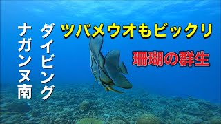 チービシ諸島☆ナガンヌ南・ディーズパルス沖縄