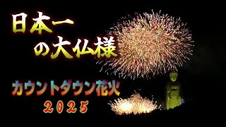 【開運】牛久大仏カウントダウン２０２５～花火1000発とライトアップが凄い Light Up Is AMAZING!