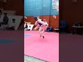 taekwondo fight