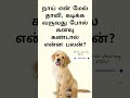 நாய் என் மேல் தாவி கடிக்க வருவது போல் கனவு கண்டால் என்ன பலன் dog labrador goldenretriever short