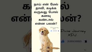 நாய் என் மேல் தாவி, கடிக்க வருவது போல் கனவு கண்டால் என்ன பலன்?#dog #labrador #goldenretriever #short