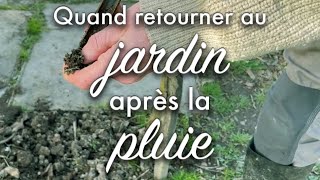 Quand retourner au potager après la pluie ?