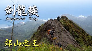 [Stegosaurus Ridge] A Trail from Stegosaurus Ridge to Teapot Mountain 【4K】