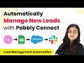 How to Automatically Manage New Leads with Pabbly Connect