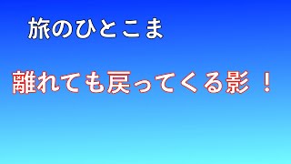 【旅のひとこま】『離れても戻ってくる影！』【たんちょう釧路空港・新千歳空港 / 北海道】