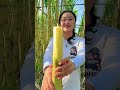 awesome sweet sugarcane farming 😋🧺 agriculture sweet taste farming sugarcane harvest