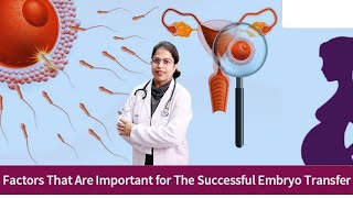 Mock Embryo Transfer: A Simple Guide On What You Need To Know - Embryo Transfer - Dr. Sakshi Bansal