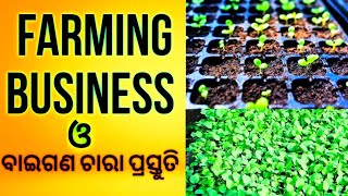 ବାଇଗଣ ଚାରା ପ୍ରସ୍ତୁତି. Brinjal nursery (in odia). ବାଇଗଣ ବ୍ୟବସାୟ