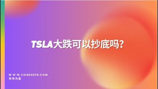 【布布为赢】TSLA大跌可以抄底吗？