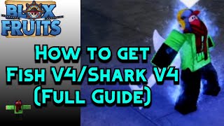 How to get Fish V4 (Full Guide Race V4) - Blox Fruits (Update 18)