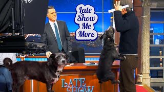 Late Show Me More: Training Wheels Are Off!