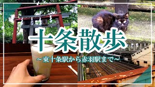 【十条散歩】十条駅から赤羽駅まで散歩する理系大学生