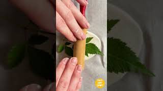 Nature Prints in Clay