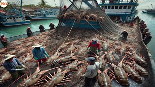 Tôm Hùm Khủng Việt Nam Khiến Trung Quốc Thèm Khát, Phải Nhập Khẩu Bằng Được