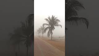 Watch, How landscape of Salalah transforms during the Kharif Season - A drive from Dubai to Salalah!