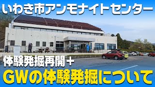 いわき市アンモナイトセンター　体験発掘再開＆GW体験発掘について