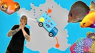 JE FAIS TRAVERSER TOUTE LA FRANCE À MES POISSONS 😰 ! -TOOPET