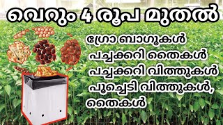 😱വെറും നാല് രൂപയ്ക്ക് ഗുണമേന്മയുള്ള പച്ചക്കറി തൈകൾ | agriculture | muthumanizlittletipsandvlogs