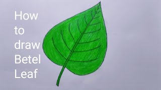 How to draw Betel Leaf | Drawing Betel leaf | পান পাতা আকা এবং রঙ করা