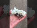 apple green fluorite with trapiche quartz inner mongolia 內蒙 蘋果綠 螢石 達碧茲 水晶