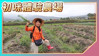 Yilan Attractions: Chumi Experience Farm｜Handmade Onion Bread