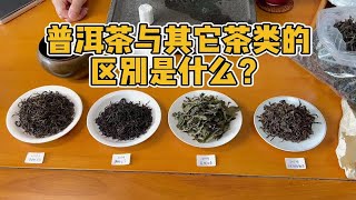 普洱茶与其它茶类的区别是什么？以红茶白茶为例