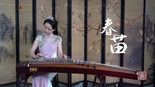 Chinese Instrument Guzheng played in New Zealand ’Spring Sprouts‘「在新西兰弹古筝」独奏《春苗》