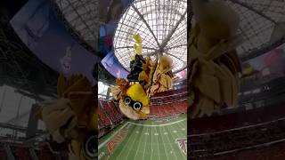 Falcons mascot has no fear 🤯