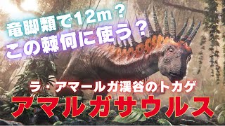 竜脚類で全長12mの背中に棘を持つアマルガサウルスとは何者なのか！