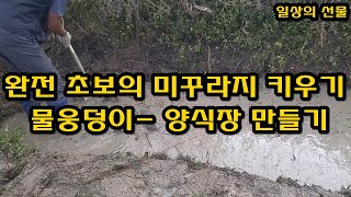 완전 초보의 미꾸라지 키우기 위한 물웅덩이  만들기