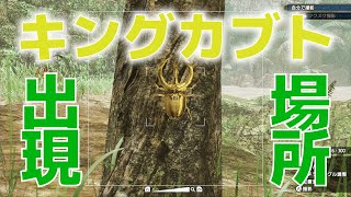 【モンハンライズ】キングカブトはどこ？出現場所まとめ_上位はゴットカブトも出現【MHRise】