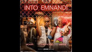 Playboi Picasso x Wiinter - Into Emnandi (ft. Arcader) [Official Audio]