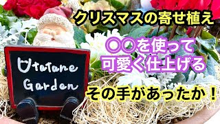 【ガーデニングを楽しもう！】冬の花材や可愛いオーナメントそして１００円ショップのアイテムを使ってクリスマスの寄せ植えを作ります。Let's enjoy gardening!