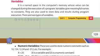 Class 8 Computer Unit 5 : Computer Programming , Variables , Numeric variables , String variables