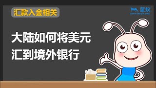 国内美元转移 | 2分钟学会利用建设银行转移国内美元资金【投资准备】