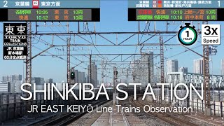 【 お天気日和10時台】JR東日本 新木場駅 定点観察（3倍速）