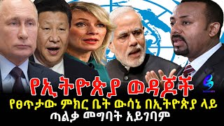 የፀጥታው ምክር ቤት ውሳኔ በኢትዮጵያ ላይ Ethiopia | Sheger Info.