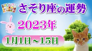 【毎日タロット前半】蠍座（さそり座）1月1日~15日の運勢をリーディング⭐