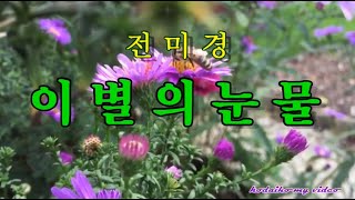 전미경  ☆  이별의 눈물