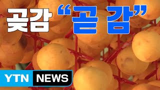 [자막뉴스] 붉게 물든 양촌 마을...곶감 만들기 '한창' / YTN