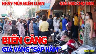 CẮN LƯỠI SẬP HẦM - GIÁ ĐÔLA CHỢ ĐEN & VÀNG SJC NHẢY MÚA ĐIÊN LOẠN - COI CHỪNG LỪA ĐẢO VÀNG GIẢ